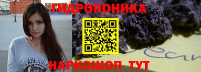 стаф Анжеро-Судженск