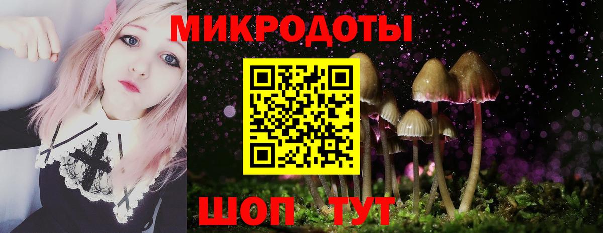 Псилоцибиновые грибы прущие грибы Новозыбков
