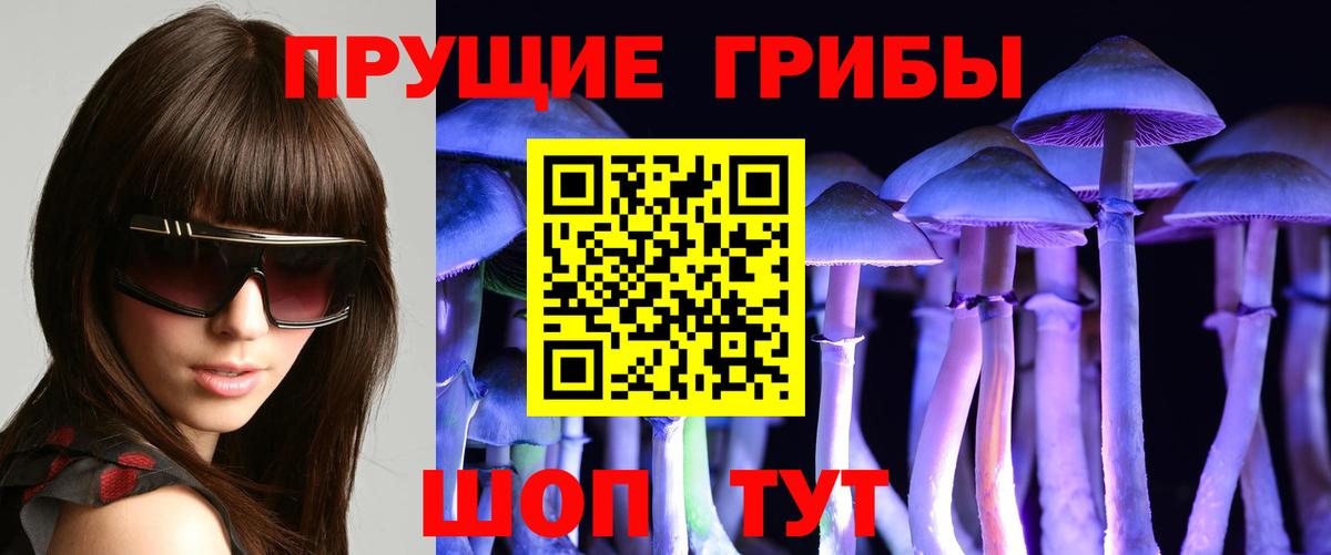 Псилоцибиновые грибы MAGIC MUSHROOMS  Псилоцибиновые грибы Magic Shrooms  Вход с VPN  Новозыбков 